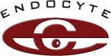 ENDOCYTE
