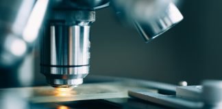 Investigational Drug in Combination with a Checkpoint Inhibitor Significantly Reduced Tumor Size