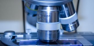 Expanding Tissue Samples Before Imaging may offer more Detailed Information About Disease