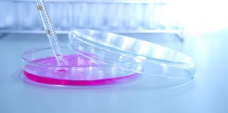 Cancer Gene Regulating RNA ‘Dark Matter’ Offer Promising Steps in Developing New Diagnostic Tools