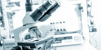 HDAC11 Enzyme Identified as an Epigenetic Checkpoint of T-cell Function in the Treatment of Cancer