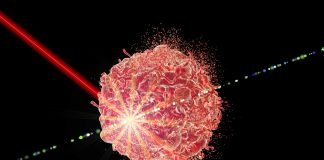 ASCO 2025: Rakuten Medical to Presents Updates of Phase 3 ASP-1929-381 Study
