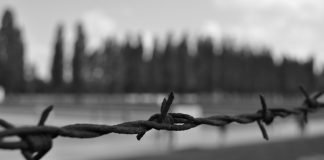 Study Confirms an Elevated Risk of Cancer in Holocaust Survivors