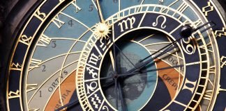 A Molecular Basis for Metabolic Health and Disease: Key Protein is Linked to Circadian Clocks