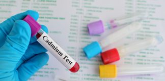 Researchers find Increased Rates of Endometrial Cancer in Women with High Levels of Cadmium