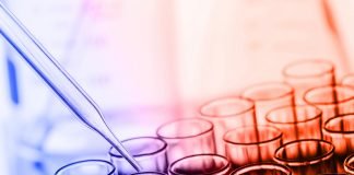Breakthrough Discovery Suggests New Molecule Is Capable of Shutting Down Tumor Activity