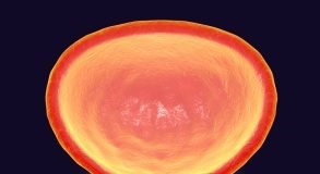 Medical Imaging Modalities for Prostate Cancer Diagnosis