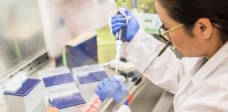 Why Doctors Don’t Trust Cannabis Scientist working in the biosafety cabinet