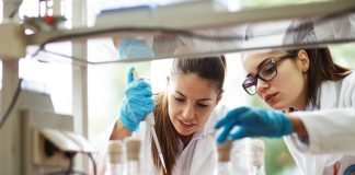 Microbubbles: The Unlikely Key to Providing Accessible and Effective Cancer Treatments