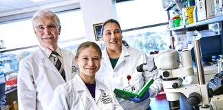 Studies on Origins of Colon Cancer may Lead to New and More Effective Therapies