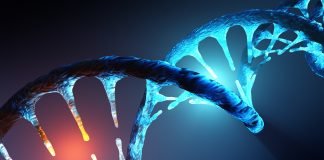 Study Shows ‘Junk’ DNA Not Harmless and Inert, Could Lead to Cancer by Stopping Copying of DNA