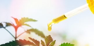 Providing the Legitimacy of Cannabinoids for the Treatment of Cancer Featured Image: Pipette with Cannabis oil. Photo Credit: © 2018 - 2020 Fotolia/Adobe