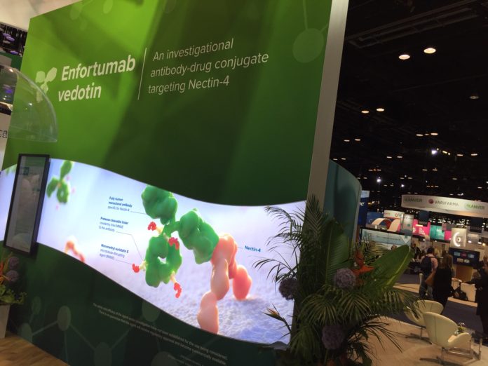 Exhibition booth Seattle Genetics - ASCO 2019 | Courtsey: Emila Duaerte / Sunvalley Communication Exhibition booth Seattle Genetics - ASCO 2019 | Courtsey: Emila Duaerte / Sunvalley Communication