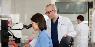 New Breast Cancer Drug has the Potential to be a Novel Therapy for Glioblastoma Nader Sanai, MD, an internationally-recognized neurosurgical oncologist with clinical and research expertise in the treatment of all brain tumors and director of the Ivy Brain Tumor Center in Phoenix, Arizona, and a member of his clinical development team.