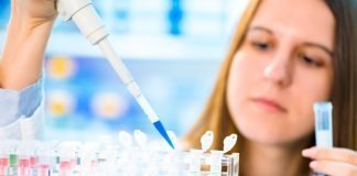 Collaboration Between Indivumed and Personalis Expected to Advance Precision Oncology
