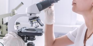 ‘Kissing loops’ in RNA Molecule Play an Essential Role in Tumor Suppression