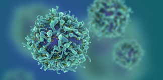 Broadening the Applicability of CAR-T Immunotherapy to Treat the Untreatable Render of t-cells. Courtesy 2019 Fotolia.