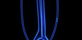 Enfortumab Vedotin + Pembrolizumab Shrink Tumors in the Majority of Bladder Cancer Patients