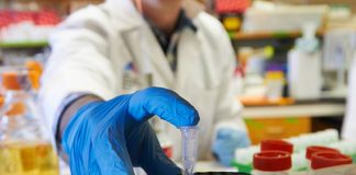 New Regulatory Pathway may Boost Immunotherapy Cancer Immunology at the Icahn School of Medicine at Mount Sinai. Courtesy: © 2020 Icahn School of Medicine at Mount Sinai.