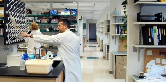 Lantern Pharma and Fox Chase Cancer Center Collaborate in Developing LP-184 in Pancreatic Cancer