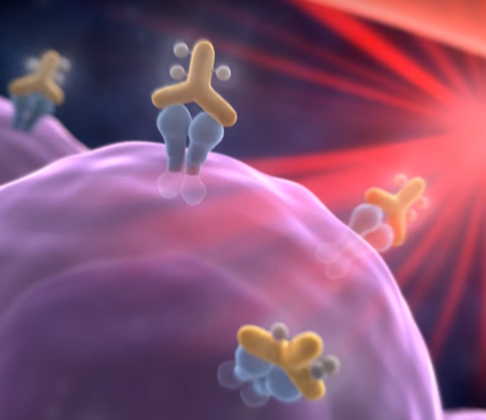 Developing a New Standard of Care: Cancer Treatment with Photoimmunotherapy