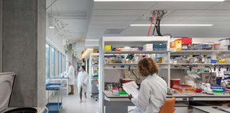 Rapid and Durable Remission Observed with Lisocabtagene Maraleucel in R/R Large B-cell Lymphomas