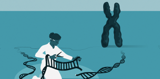 Nobel Prize: Genetic Scissors Designed to Rewrite the Code of Life