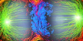 Study Shows Mechanism of Tumor Growth and Metastasis in Breast Cancer