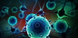 AmunBio and NorthShore University to Advance Cancer Immunotherapy with Engineered Oncolytic Viruses