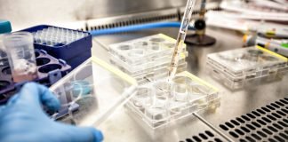 Personalized Cancer DNA Vaccines Target Unique Cancer Mutations