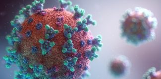 Adults with Blood Cancers Respond to Booster but Not to the Initial Dose of COVID-19 Vaccines