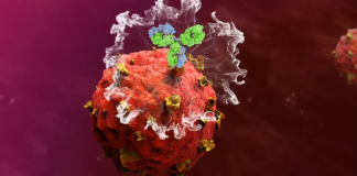 Coming of Age: Antibody-drug Conjugates, Highly Targeted Anti-cancer Agents