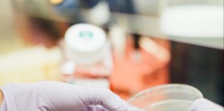 Rain Therapeutics and Roche to Study Milademetan + Anti-PD-L1 Immunotherapy in Solid Tumors