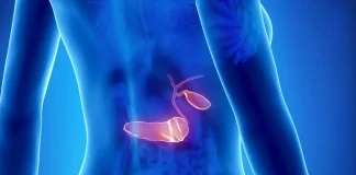 Identify Signaling Mechanisms in Pancreatic Cancer Cells may help Provide Treatment Targets