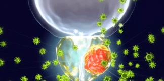 Results from a Meta-analysis Guides Treatment Planning for Patients with High-risk Prostate Cancer