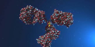 TRPH-222, a Novel ADC, Shows Positive Results in the Treatment of B-cell non-Hodgkin’s lymphoma