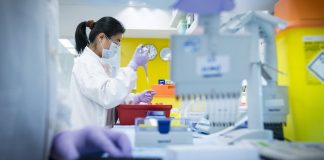 Macrophage-Engaging IgG4 Antibody is Breathing New Life into Failed Cancer Treatment