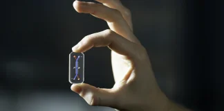 The Immune System is Very Complicated – And it’s on a Chip