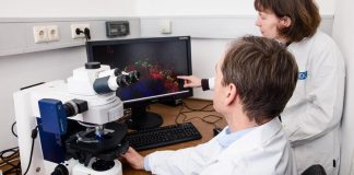Taking off the Breaks to Strengthen the Immune Response to Cancer