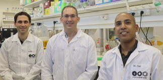 CRISPR-Cas9 Genome Editing may Result in Loss of Genetic Material and Destabilize the Genome