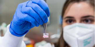 3D Model of Glioblastoma Microenvironment may help the Development of Personalized Treatment