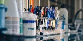 Oral Health and Cancer: New WHO Report Shows Neglect Affects Nearly 50% of the World’s Population