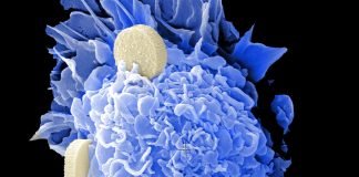 Study Confirms: ‘Extreme Lack of Consistency’ Hampers the Potential of Nanosized Medicines