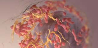 Enhanced Cancer Immunotherapies Through Cytokine-labeled T-cells