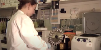 Study Shows why Late-stage Metastatic Melanoma Resists Treatment
