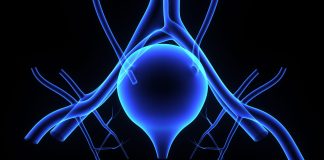 Study to Investigates How Biological Sex Influences Bladder Cancer Vulnerability in Men and Women