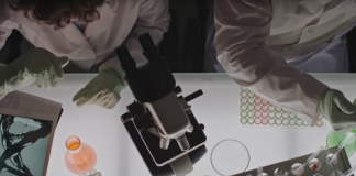 Study of Molecular Bindings may help in the Development of Better Cancer Treatments