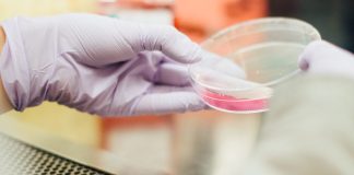 Accelerating Biologics R&D with Unified Software and Data Flows