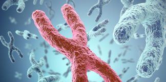 Patients with Ultra-long Telomeres Develop Benign and Cancerous Tumors and Clonal Hematopoiesis