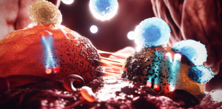 Loss of Y Chromosome Allows Tumors to Evade the Immune System + Makes them Vulnerable to Treatment